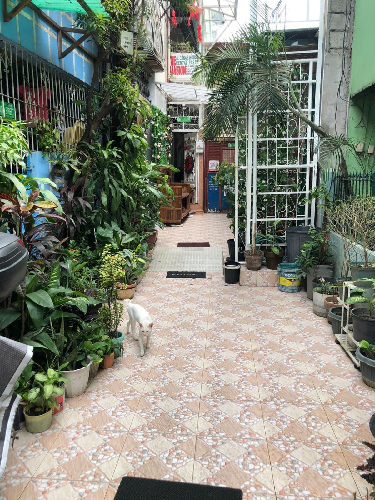The Mansion - Backpackers Near Airport Leilighet Manila Eksteriør bilde